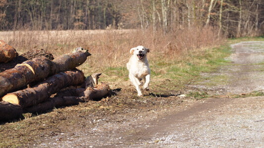 Nahla an ihrem Geburtstag