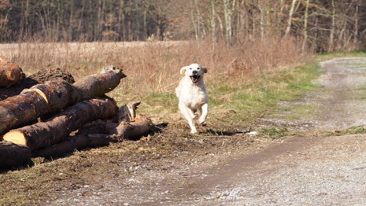 Nahla an ihrem Geburtstag