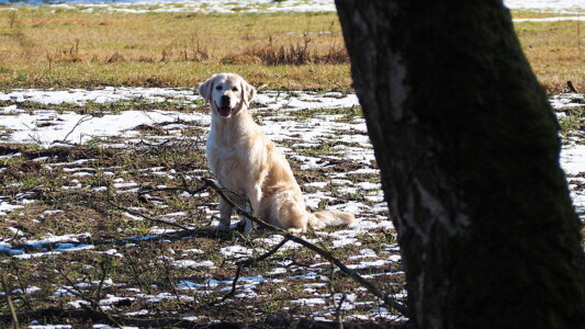 Die Vorfreude auf die fliegenden Dummies steht ihr ins Gesicht geschrieben