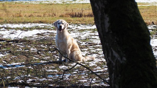 Die Vorfreude auf die fliegenden Dummies steht ihr ins Gesicht geschrieben
