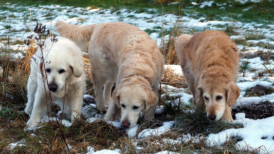 die andere 3 waren natürlich auch mit dabei