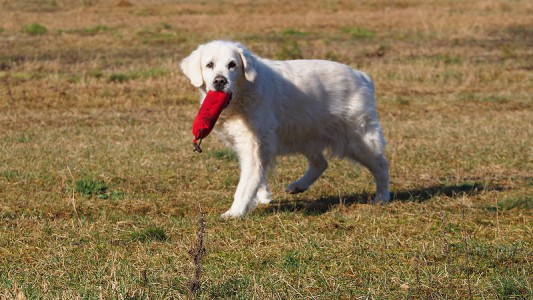 Jula wollte selbstverständlich ...