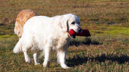 ... auch mitmachen ...