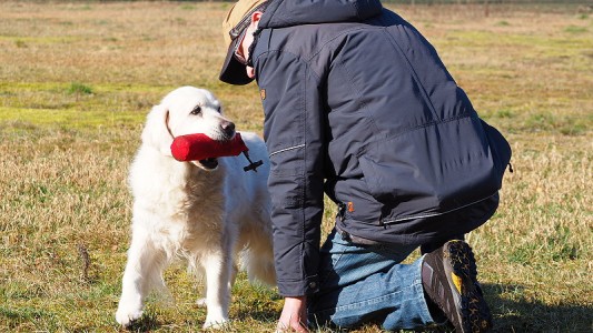 ... und war stolz wie Oscar