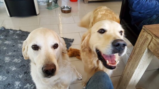 Nahla mit ihrem Sohn Bailey