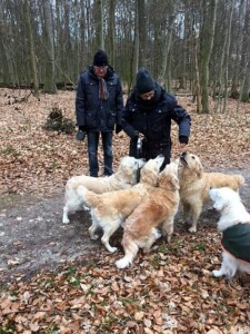 Mit Bailey im Wald