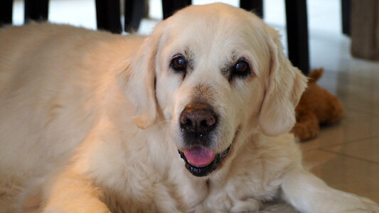 ihr hohes Alter sieht man ihr nun wirklich nicht an, oder?