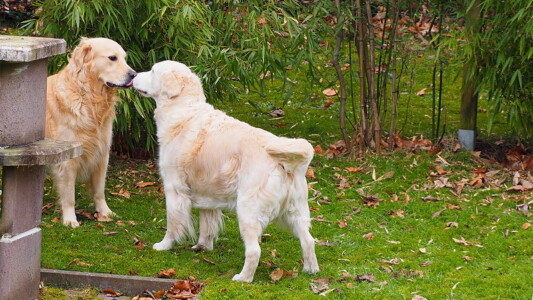 Kelly begrüßt ihren Enkel