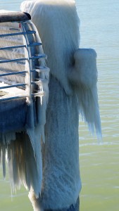 gefrorene Gischt an der Seebrücke