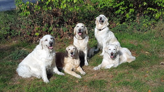 v. l. n. r.: Jula, Smilla, Nahla, Mira und Kelly