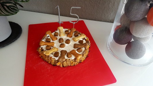 Zur Feier des Tages habe ich eine Torte für sie gebacken