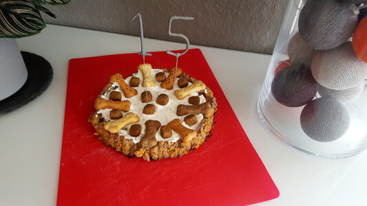 Zur Feier des Tages habe ich eine Torte für sie gebacken