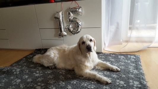 Unser Julchen an ihrem 15. Geburtstag