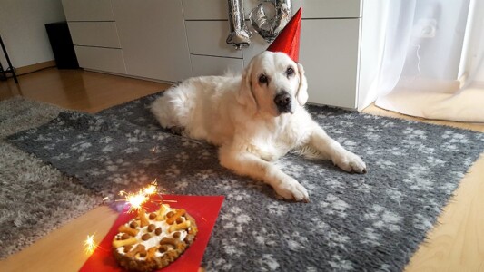 ein paar Wunderkerzen noch dazu ...