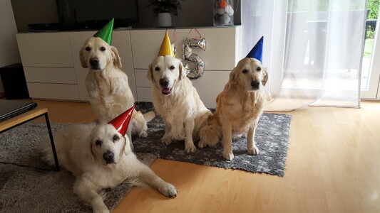 ... und die Party kann beginnen!