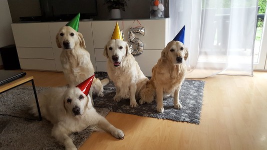 ... und die Party kann beginnen!