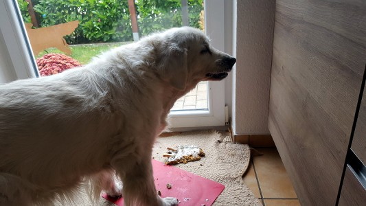 Die Torte scheint zu schmecken :-)