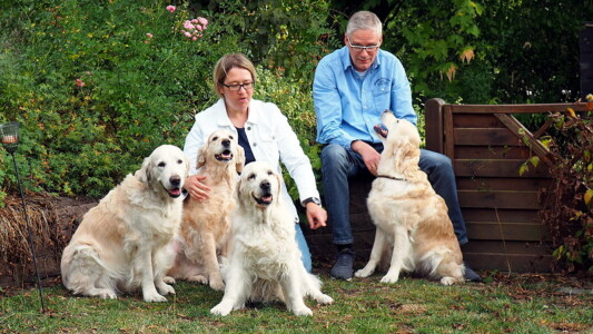 daher wurde das mal Zeit!