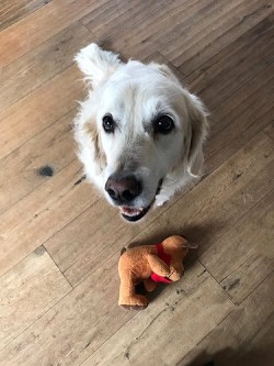 Auch Amy zeigt ihr neues Stofftier