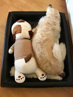 ... fast so groß wie Magic