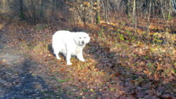 Jula (leider etwas überbelichtet)