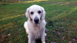 Julchen ist inzwischen 15 Jahre und 3 Monate alt