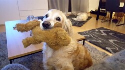 Smilla mit dem "Schnitzel"