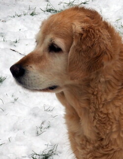 Smilly - unsere Löckchenqueen