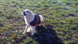 Jula hat den Tag sehr genossen