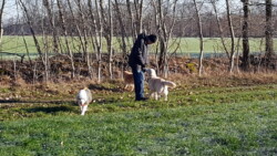 Maik, Kelly und Jula