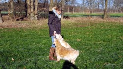 Ines verteilt Leckerlies