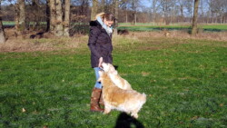 Ines verteilt Leckerlies