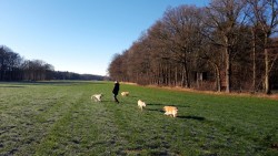 Platz ohne Ende - Herrlich