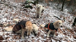 Smilla, Kelly, Nelly und Nahla