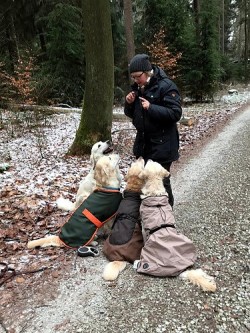 Leckerlies für alle!