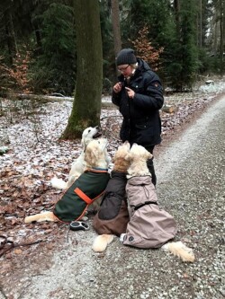 Leckerlies für alle!