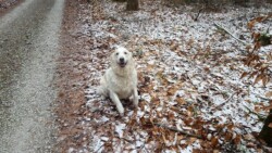 Nelly auf dem Sprung