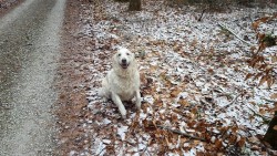 Nelly auf dem Sprung