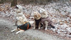 Nelly, Nahla, Smilla und Kelly