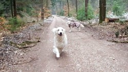 Nelly und Kelly im Hintergrund