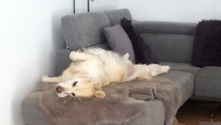 ... dafür im Haus tiefenentspannt :-)