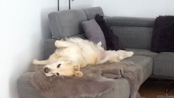 ... dafür im Haus tiefenentspannt :-)