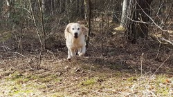 Draußen eine Flitze-Maus ...