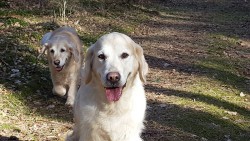 Nahla mit Smilla im Hintergund