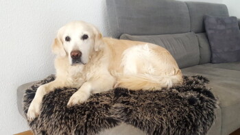 geschafft - jetzt wird entspannt!