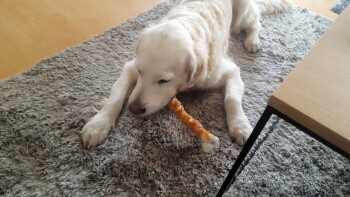 die scheint auch gut zu schmecken