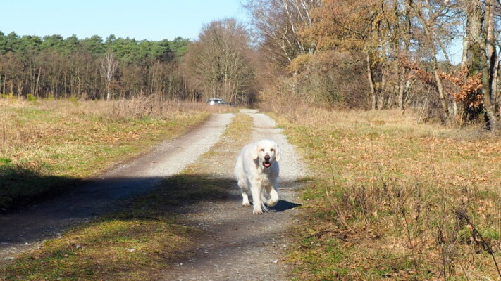 Jula - heute ist sie unglaubliche 15 Jahre und 6 Monate alt ...