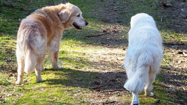 Smilla mit ihrer Mama