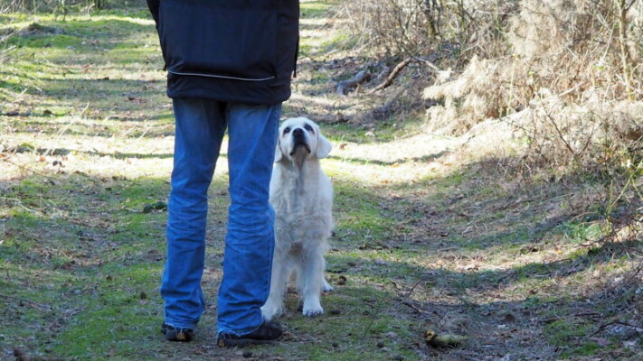 Jula: "wie wäre es mal mit einem Leckerli?"