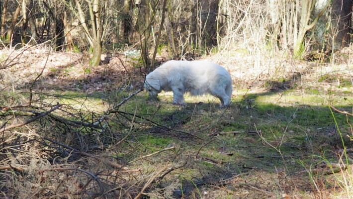 Nach was riecht das denn hier so gut?